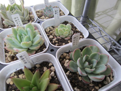 20120310b