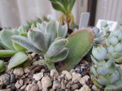 20120905f