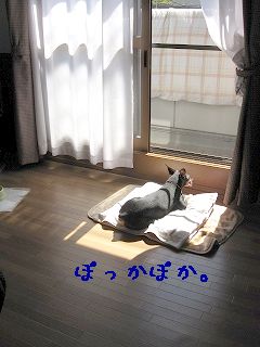 IMG_5983.jpg