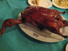 IMG_1065_45.JPG