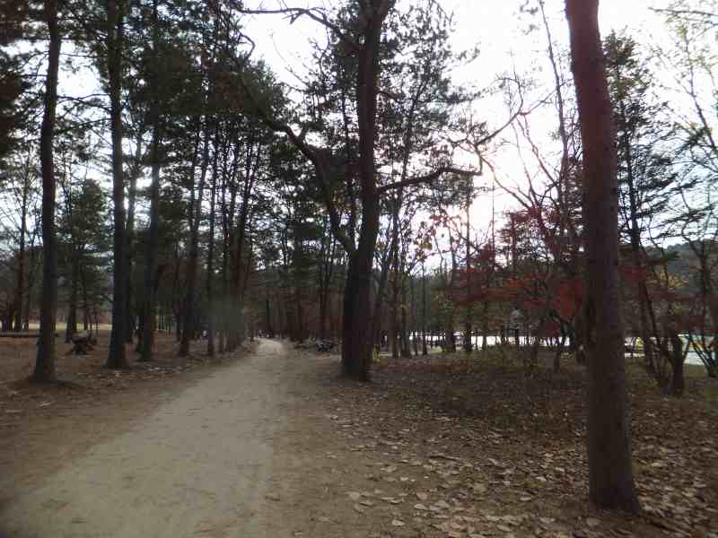 DSCF0916.jpg